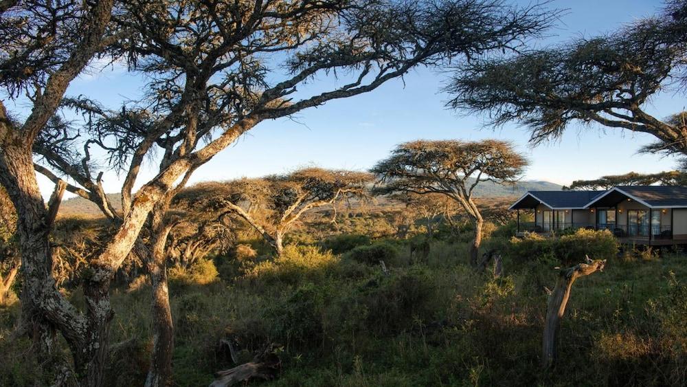 Karibu Camps And Lodges Lions Paw Ngorongoro Карату Екстер'єр фото